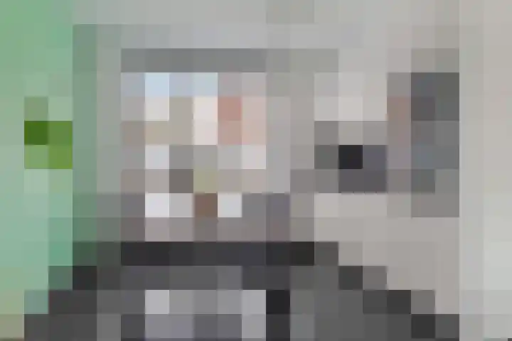 Duivenhof 37 Made thumbnail 9