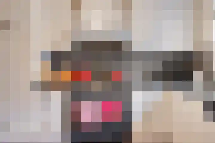 Duivenhof 9 Made thumbnail 14