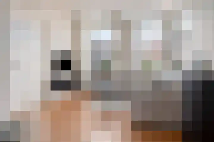 Duivenhof 9 Made thumbnail 27