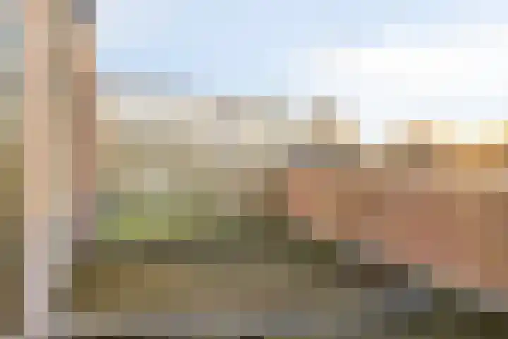 Duivenhof 9 Made thumbnail 32