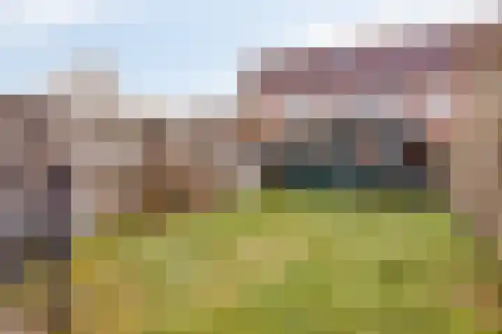 Duivenhof 9 Made thumbnail 34