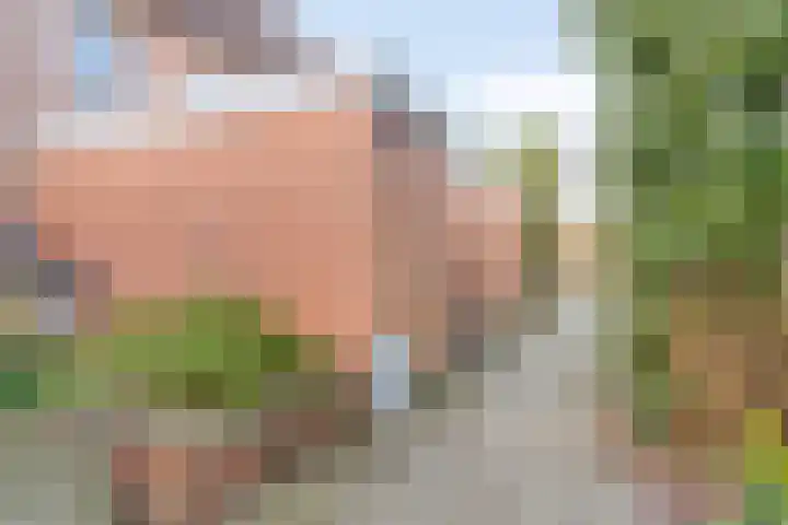 Duivenhof 9 Made thumbnail 39