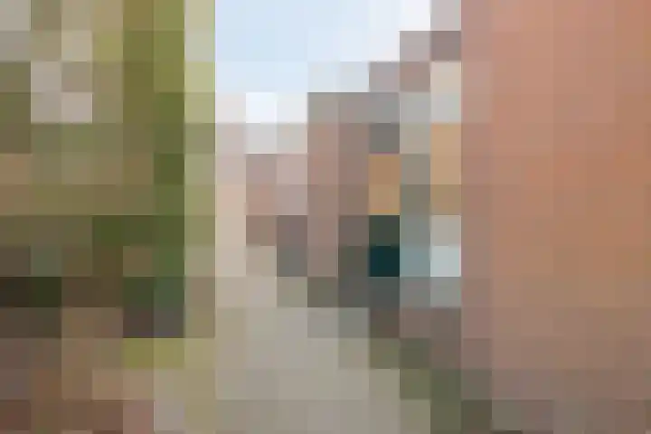 Duivenhof 9 Made thumbnail 4