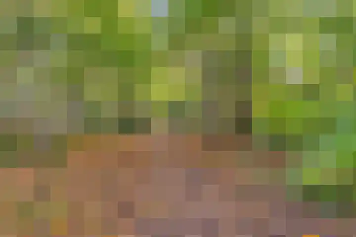 Duivenhof 9 Made thumbnail 41