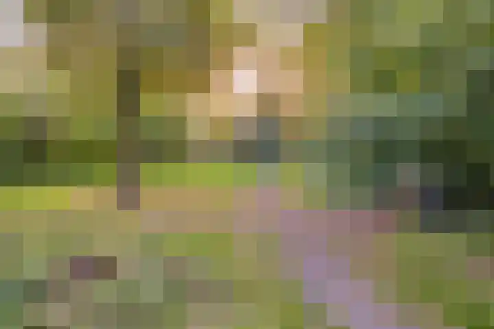 Duivenhof 9 Made thumbnail 42