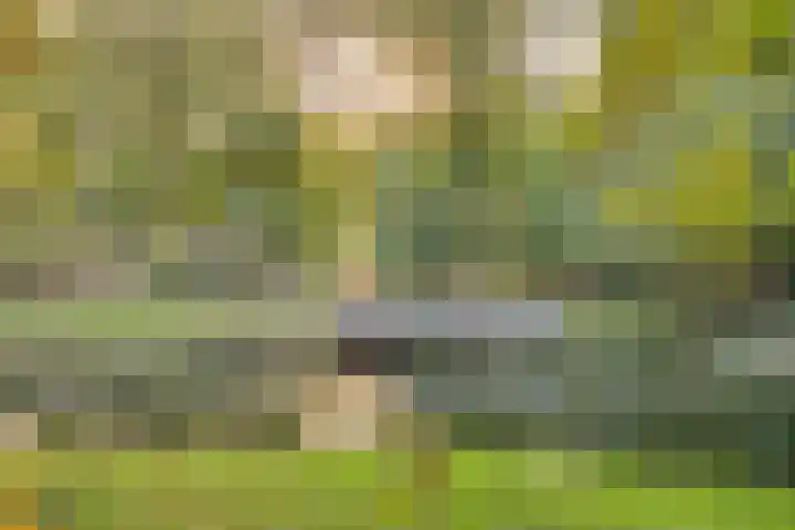 Duivenhof 9 Made thumbnail 43