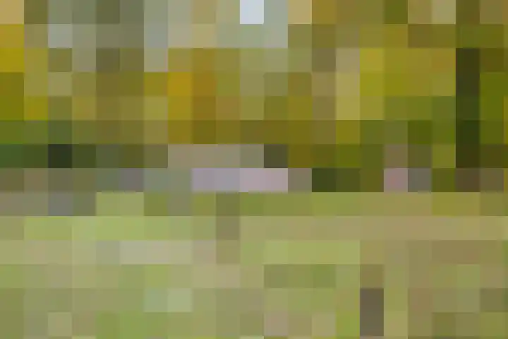 Duivenhof 9 Made thumbnail 44