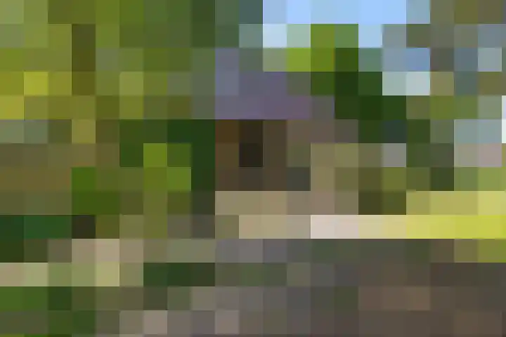 Duivenhof 9 Made thumbnail 46