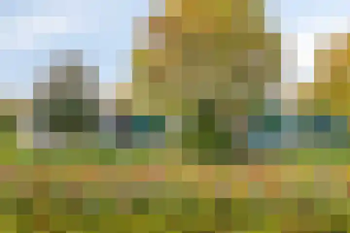 Duivenhof 9 Made thumbnail 46