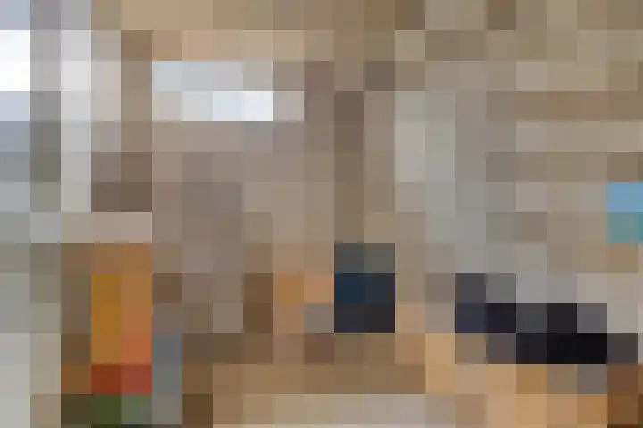 Duivenhof 9 Made thumbnail 5