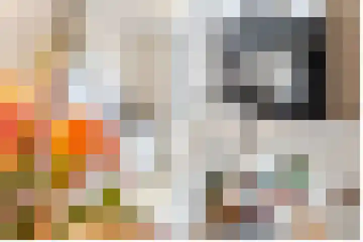 Duivenhorst 12 Den Dolder thumbnail 14