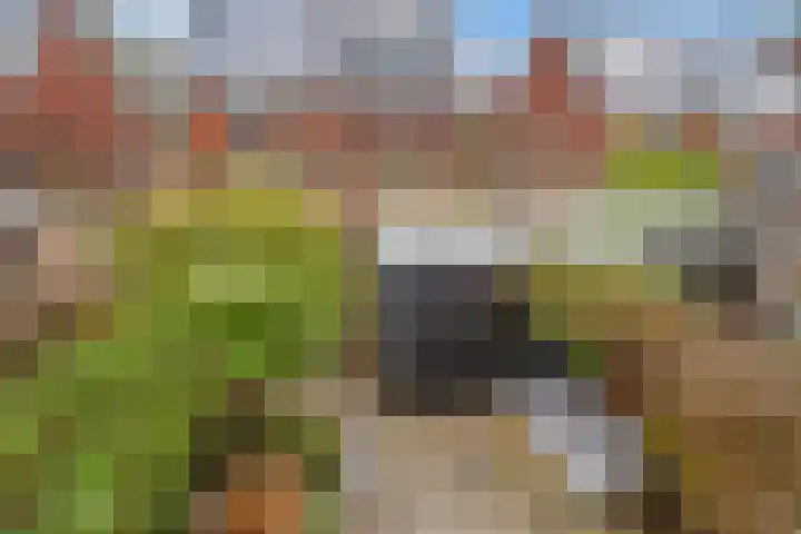 Duivenhorst 12 Den Dolder thumbnail 35