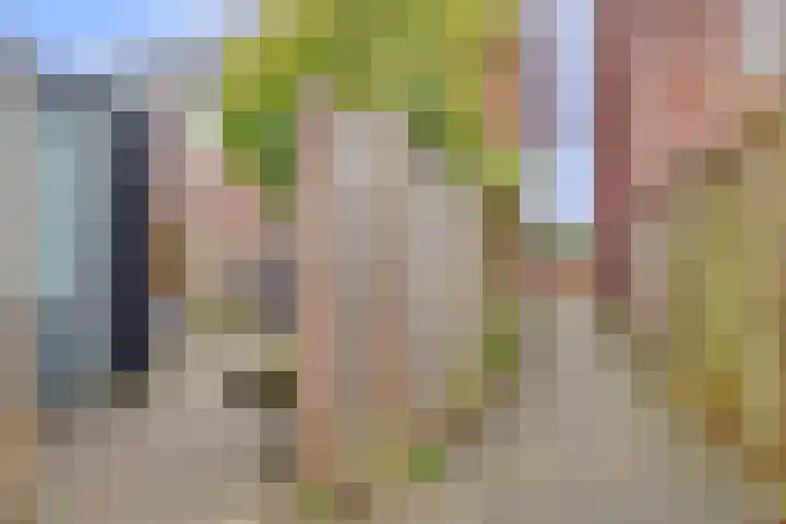 Duivenhorst 12 Den Dolder thumbnail 39