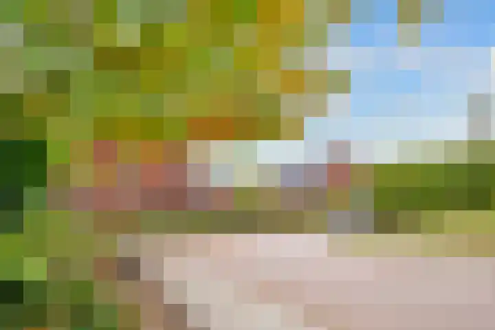 Duivenhorst 12 Den Dolder thumbnail 41