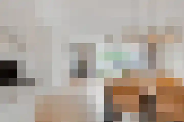 Duivenhorst 8 Den Dolder thumbnail 10
