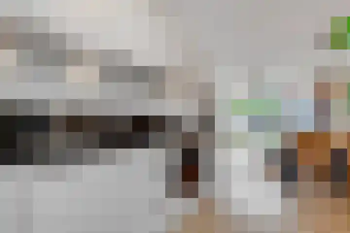 Duivenhorst 8 Den Dolder thumbnail 12