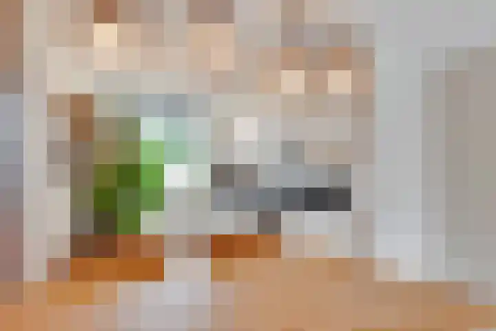 Duivenhorst 8 Den Dolder thumbnail 15