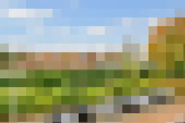Duivenhorst 8 Den Dolder thumbnail 26