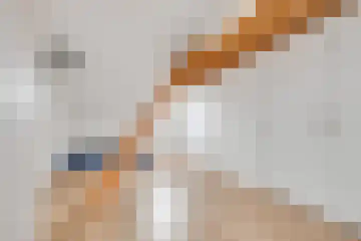 Duivenhorst 8 Den Dolder thumbnail 30