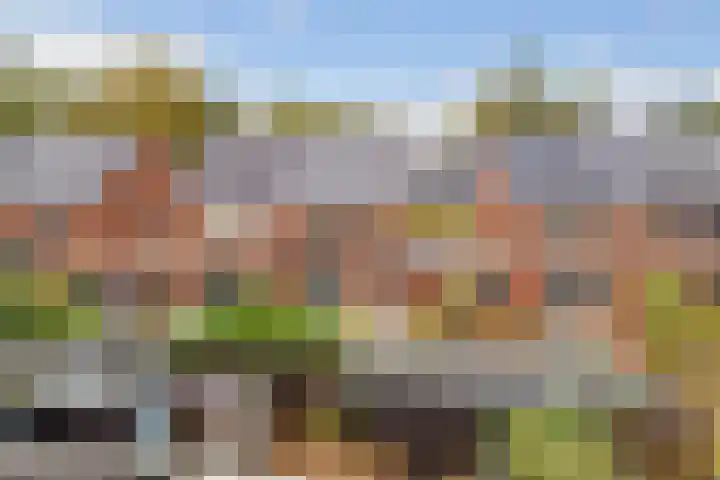 Duivenhorst 8 Den Dolder thumbnail 35