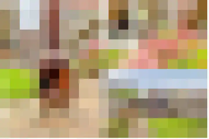 Duivenhorst 8 Den Dolder thumbnail 37