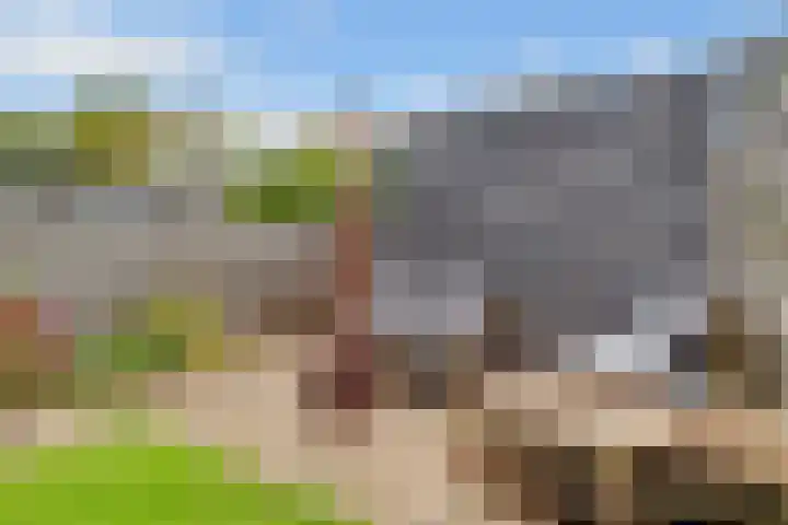 Duivenhorst 8 Den Dolder thumbnail 40