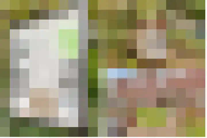 Duivenhorst 8 Den Dolder thumbnail 43
