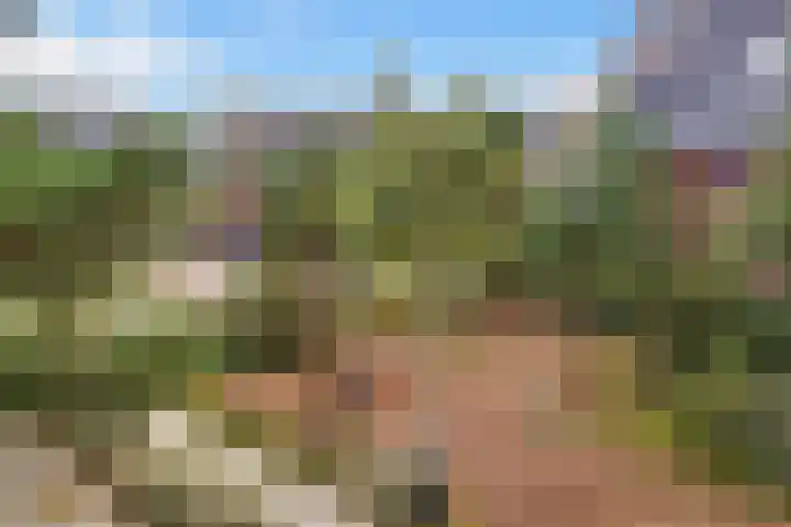Duivenhorst 8 Den Dolder thumbnail 46