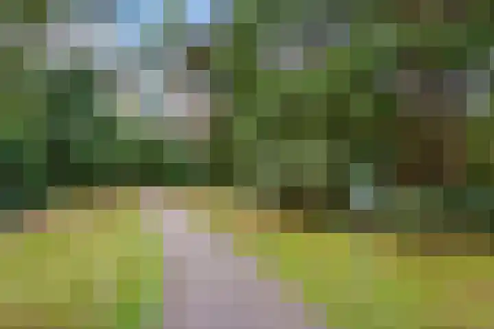 Duivenhorst 8 Den Dolder thumbnail 47