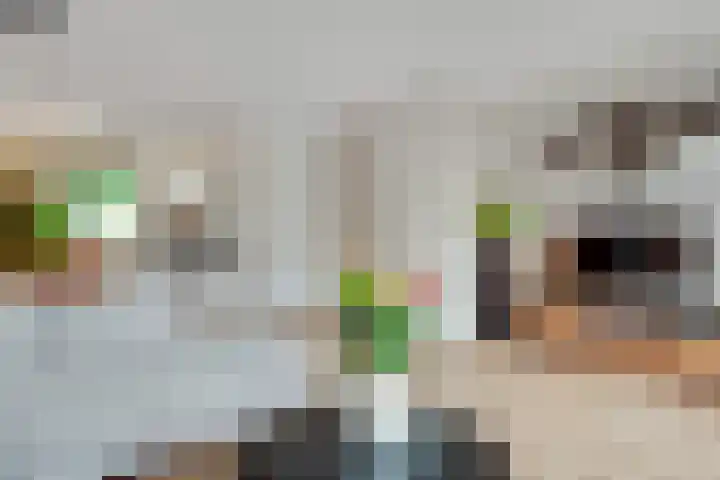 Duivenhorst 8 Den Dolder thumbnail 7