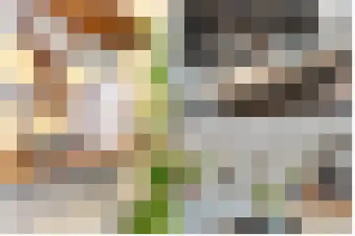 Duivenhorst 8 Den Dolder thumbnail 9