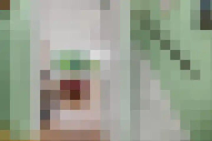 Duivenkamp 151 Maarssen thumbnail 12