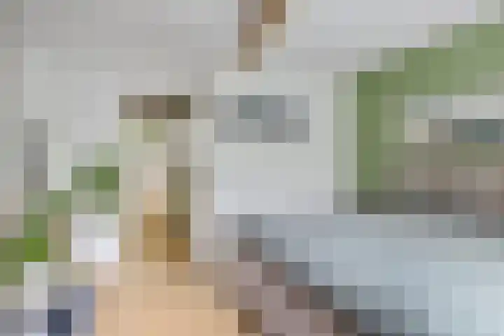 Duivenkamp 151 Maarssen thumbnail 14