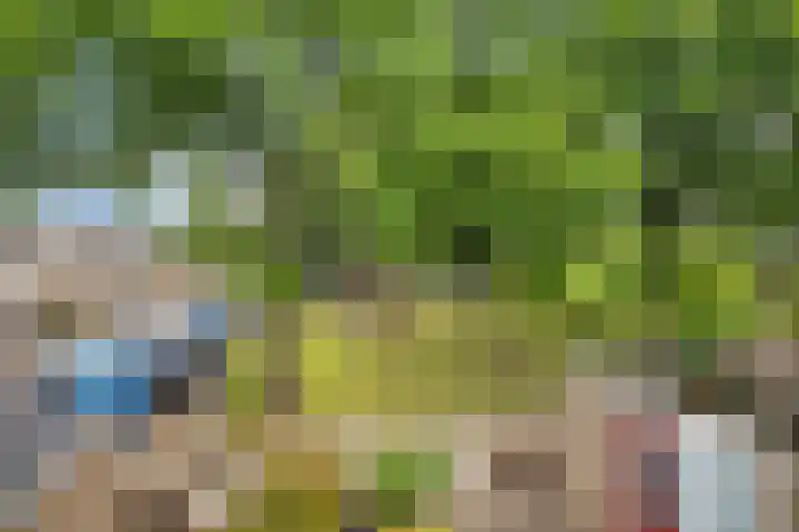Duivenkamp 151 Maarssen thumbnail 17
