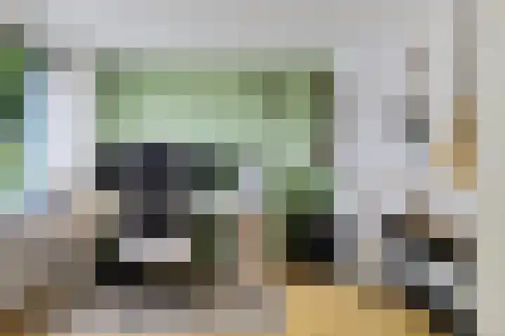 Duivenkamp 151 Maarssen thumbnail 18