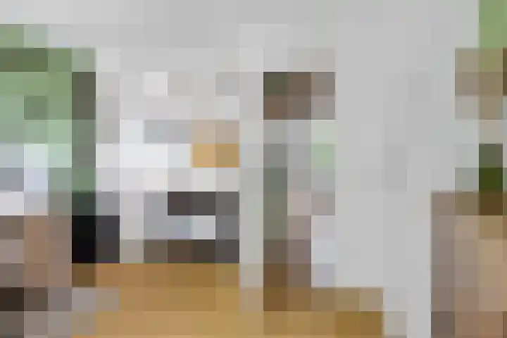 Duivenkamp 151 Maarssen thumbnail 19