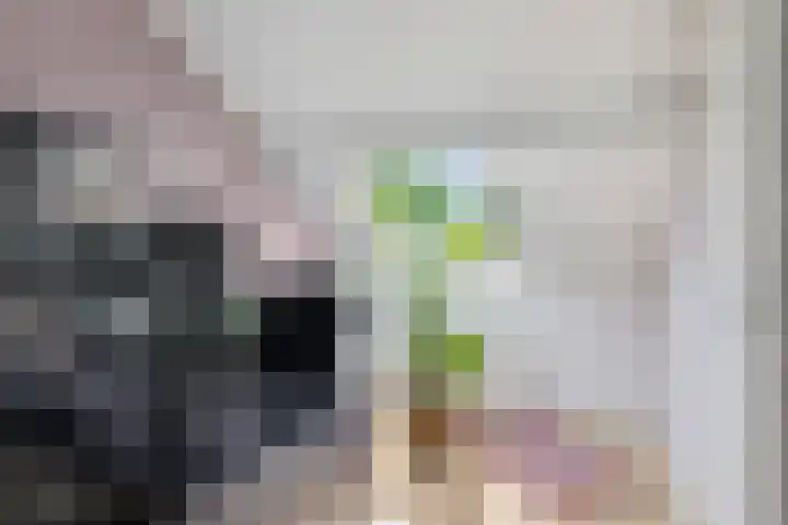 Duivenkamp 151 Maarssen thumbnail 26