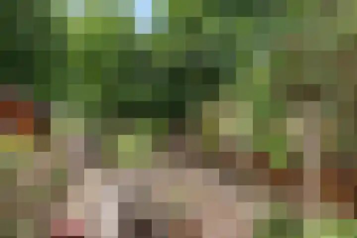 Duivenkamp 151 Maarssen thumbnail 28