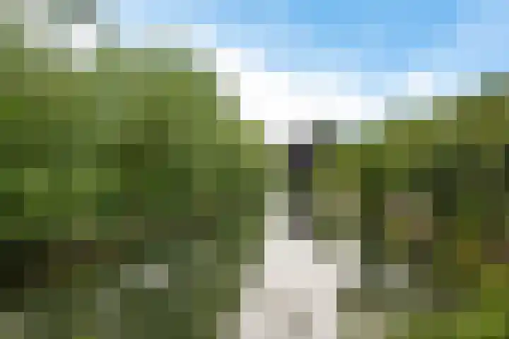 Duivenkamp 151 Maarssen thumbnail 30