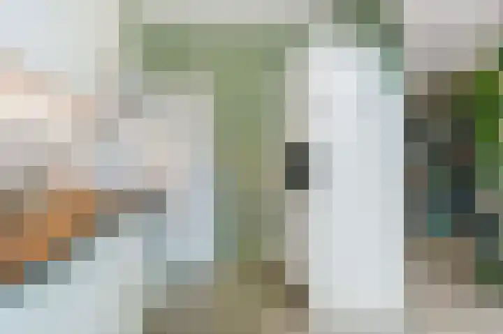 Duivenkamp 193 Maarssen thumbnail 11