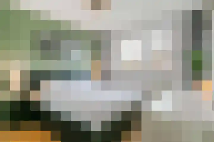 Duivenkamp 193 Maarssen thumbnail 15