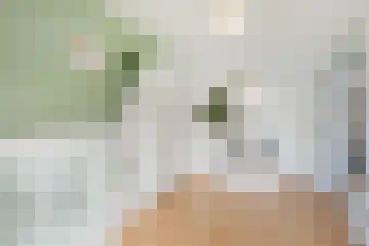 Duivenkamp 193 Maarssen thumbnail 17