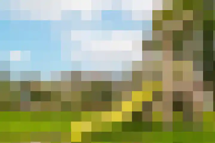 Duivenkamp 193 Maarssen thumbnail 27
