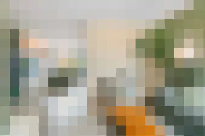 Duivenkamp 193 Maarssen thumbnail 4