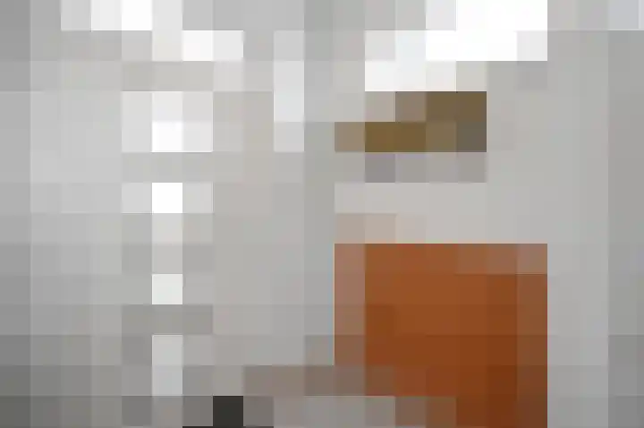 Duivenkamp 263 Maarssen thumbnail 10