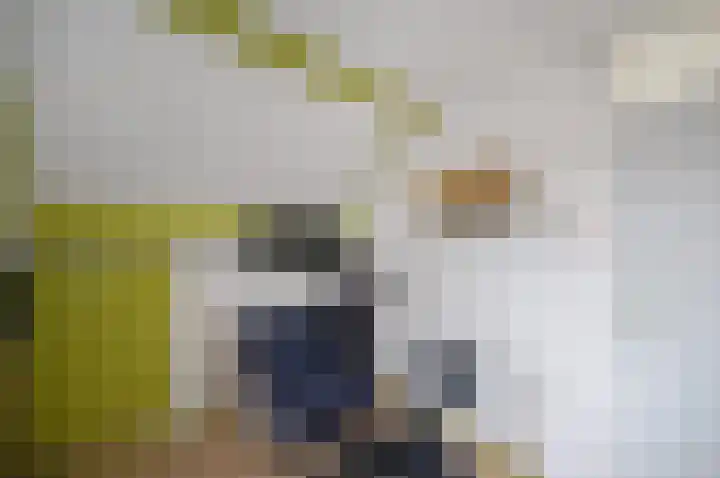 Duivenkamp 263 Maarssen thumbnail 27