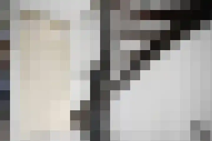Duivenkamp 263 Maarssen thumbnail 31