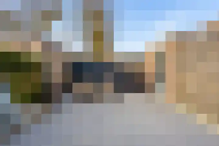 Duivenkamp 290 Maarssen thumbnail 12