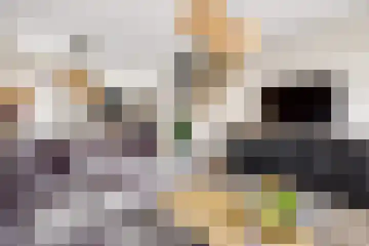 Duivenkamp 290 Maarssen thumbnail 15