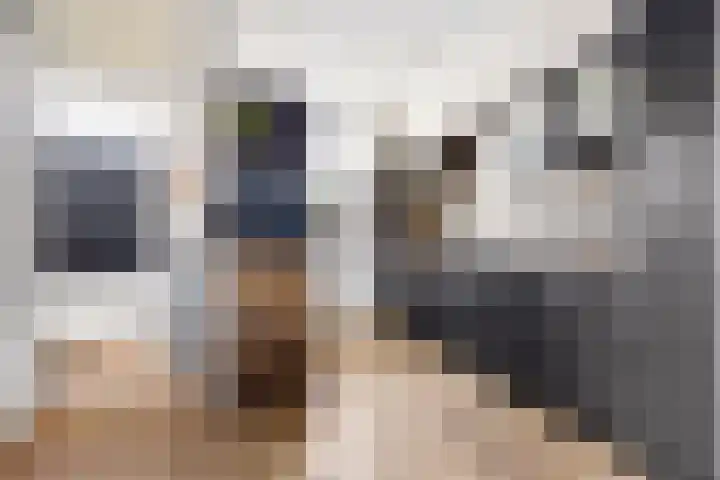 Duivenkamp 290 Maarssen thumbnail 16